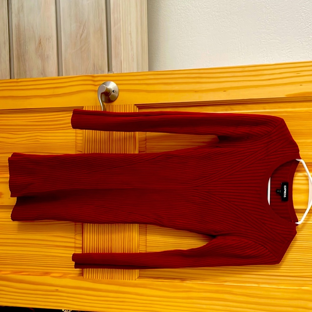 Express sweater dress